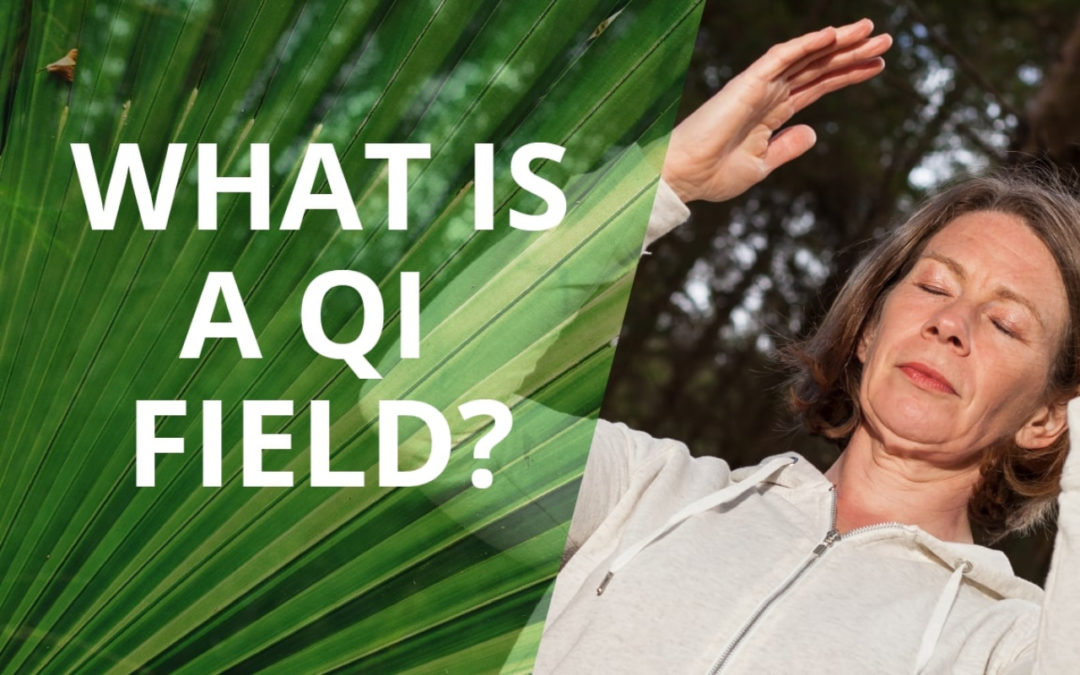 What Is A Qi Field?