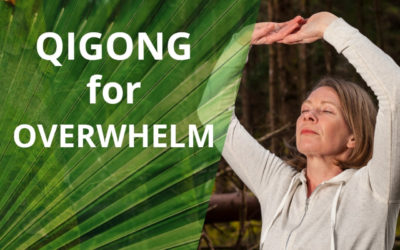 Qigong For Overwhelm