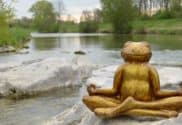 Qigong for the heart and mind