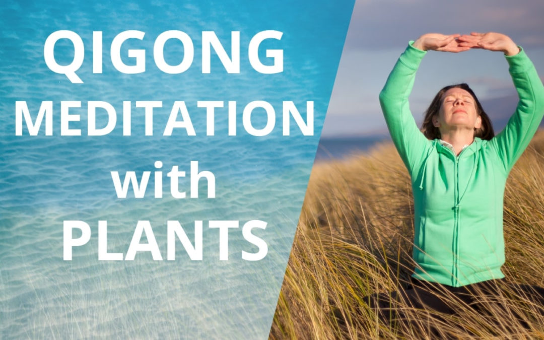 Qigong Meditation With Plants