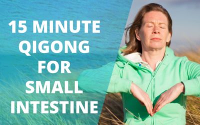 Lesson 62 – 15 Minute Qigong For Small Intestine (Replay of Live Qigong Class)