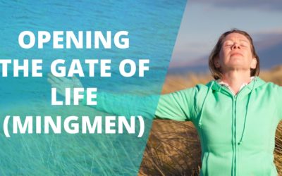 Lesson 67 – Opening The Gate Of Life (Mingmen) (Replay of Live Qigong Class)