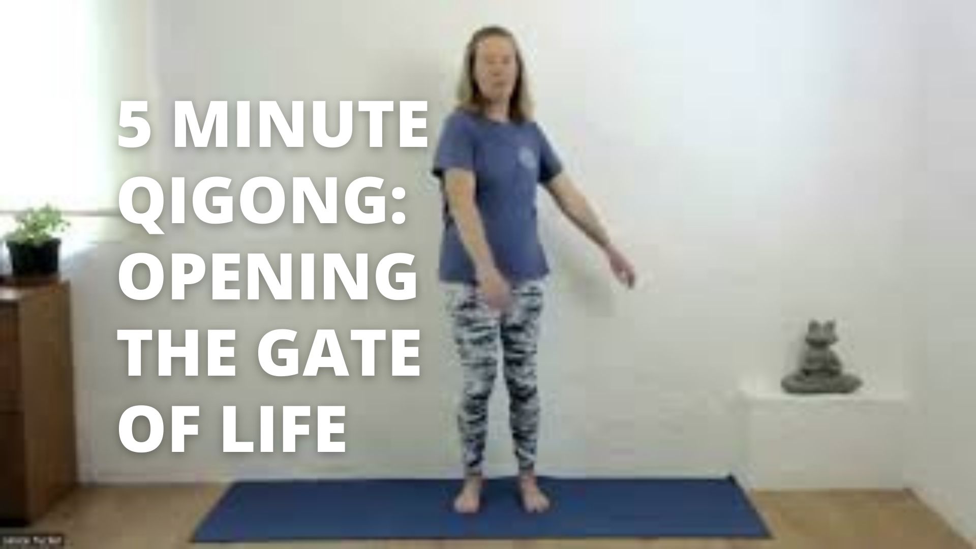 5_Minute_Qigong-Gate_of_Life