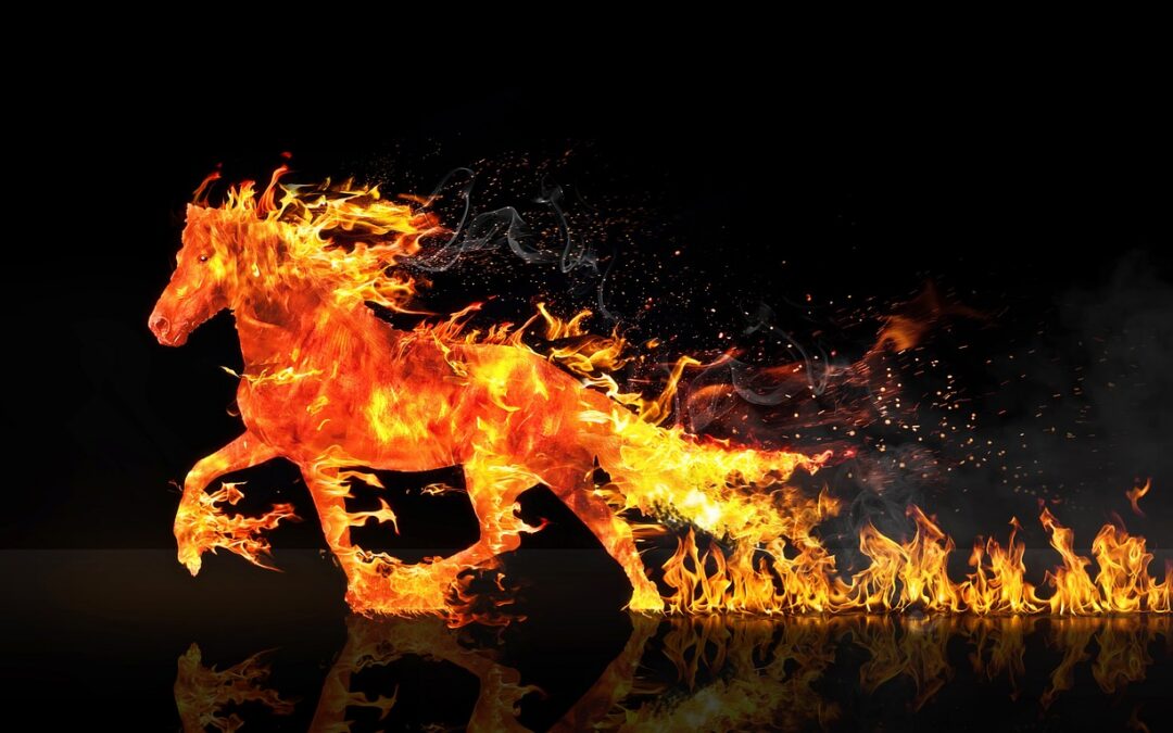 Chinese New Year Of The Fire Horse 2026